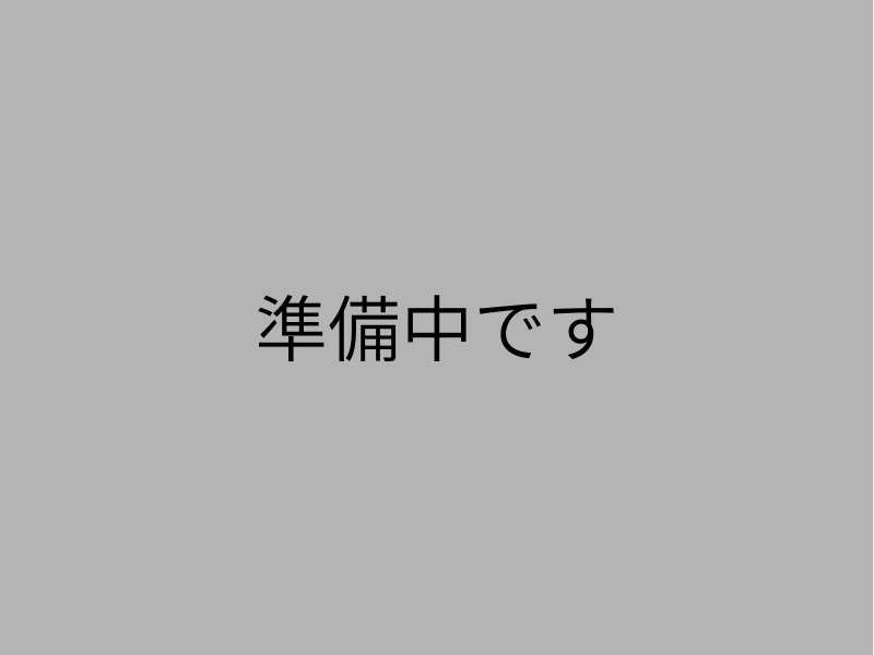 仮画像